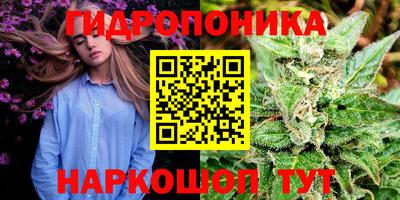 соль ск Свободный