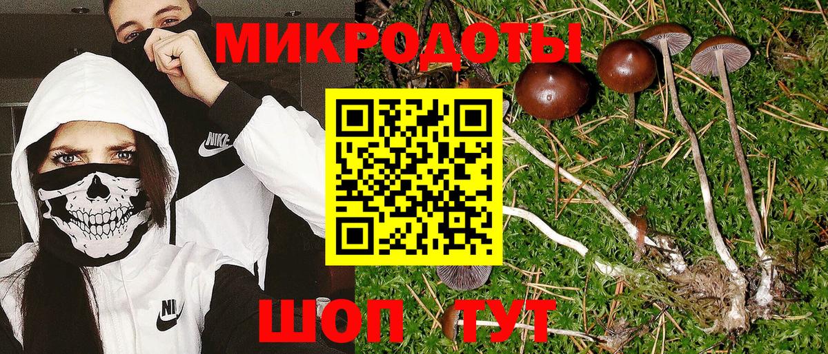 Галлюциногенные грибы Cubensis Петрозаводск
